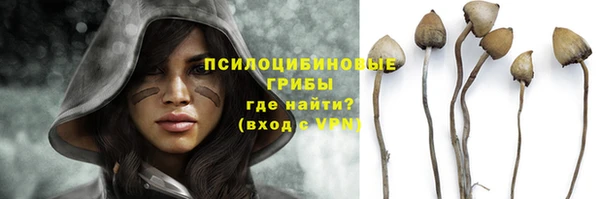 кристаллы Новозыбков