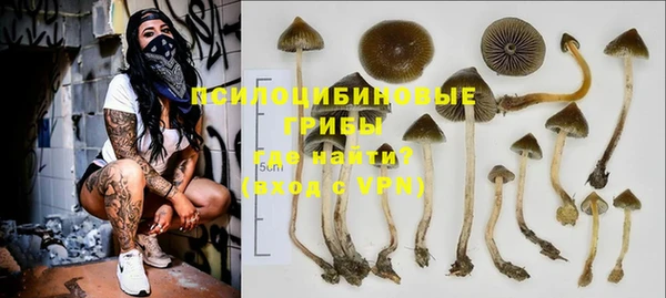 твердый Нея