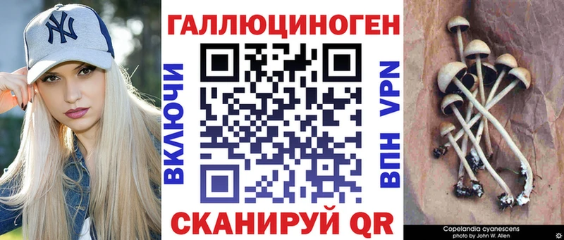 Псилоцибиновые грибы прущие грибы  купить наркотик  Борзя 