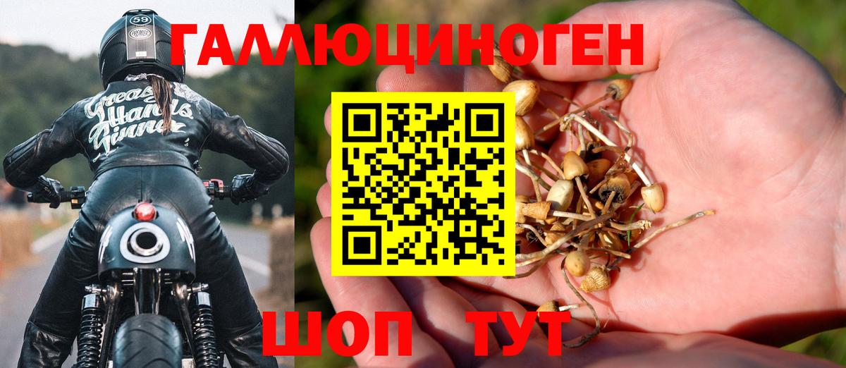 Галлюциногенные грибы Psilocybine cubensis  Галлюциногенные грибы мухоморы  Борзя  Вход с VPN 