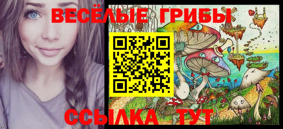 Галлюциногенные грибы GOLDEN TEACHER  Борзя  Псилоцибиновые грибы MAGIC MUSHROOMS 